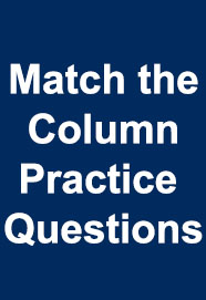 match-the-column-practice-questions-for-bank-clerk-mains