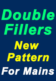 important-double-fillers-new-pattern-questions-for-mains-exam