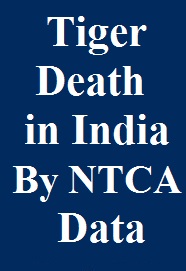 tiger-death-in-india-by-ntca-data-pdf