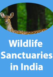 list-of-wildlife-sanctuaries-in-india-pdf