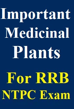 list-of-important-medicinal-plants-in-india-for-rrb-ntpc-exam